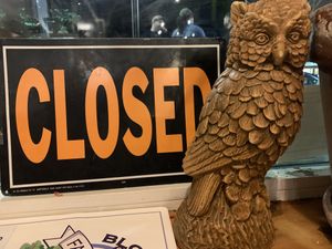 Owls everywhere... at The Owlery in Bloomington