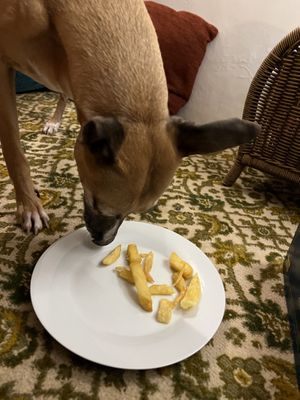 Even the doggos got vegan sausage and chips! 💚🌱  at Bampton Street Fish Bar in Minehead