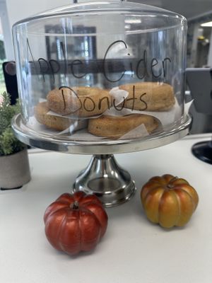 Apple cider donuts   at Pride Enjoy in Wading River