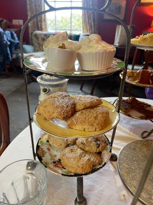  at Tea by the Lock in York