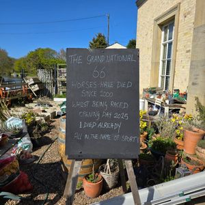  at Tea by the Lock in York