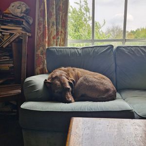  at Tea by the Lock in York