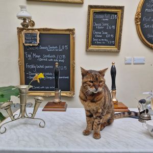  at Tea by the Lock in York