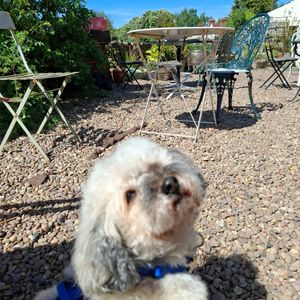  at Tea by the Lock in York
