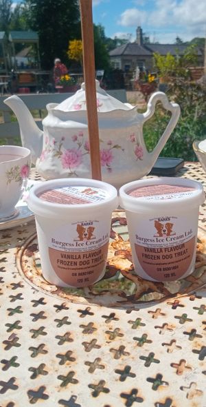 Vanilla icecream for dogs (also have one for humans) at Tea by the Lock in York