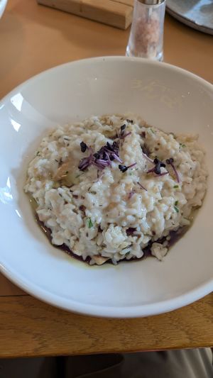 Mushroom Risotto at Zuckergoscherl in Vienna