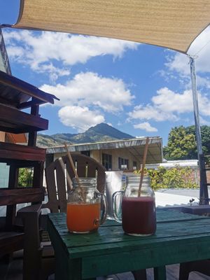 Carrot limonade and beetrote limonade at El Veggie SV Escalón in San Salvador