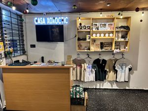  #Veganuary at Casa Xoxoctic in San Salvador