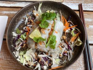 Spring rolls  at MOC Vietnamese Eatery in Vienna