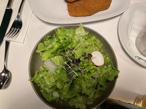 Seasonal salad  at Figlmüller in Vienna