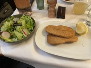Vegan Schnitzel with green saladd  at Figlmüller in Vienna