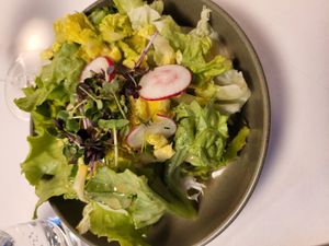 Boring salad at Figlmüller in Vienna