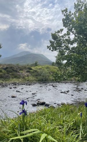   at Balsporran Bed and Breakfast in Dalwhinnie