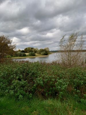 Pitford Reservoir at The Willow Tree Cafe in Brixworth