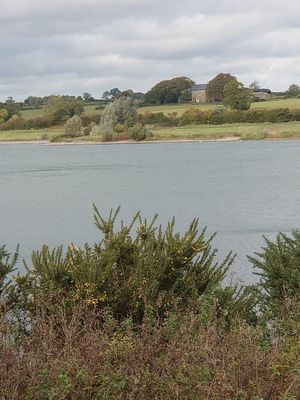 Pitford Reservoir at The Willow Tree Cafe in Brixworth