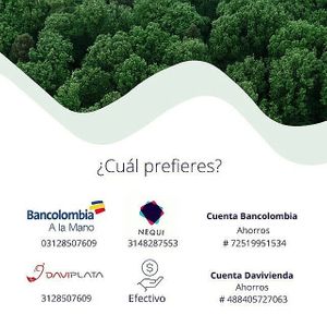 Pago contra entrega. at Chachafruto Mercado Saludable in Dosquebradas