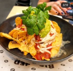 . at Big Shed Brewing in Royal Park