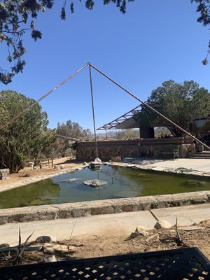 Outdoor area  at Food for Thought Cafe in Joshua Tree