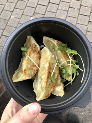 vegan Gyoza  at MoschMosch in Heidelberg