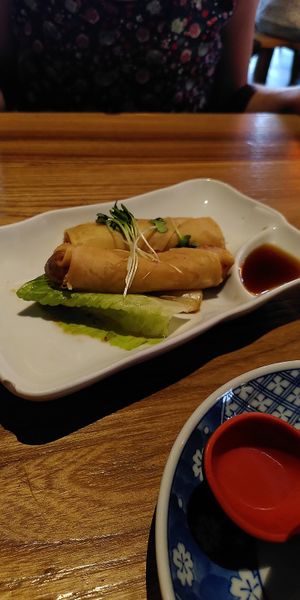 spring rolls with vegetables at MoschMosch in Heidelberg