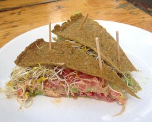 my club sandwich  at Alchemist Garden in Amsterdam