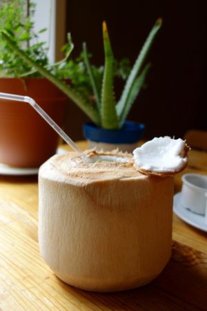 Fresh coconut juice! at Alchemist Garden in Amsterdam