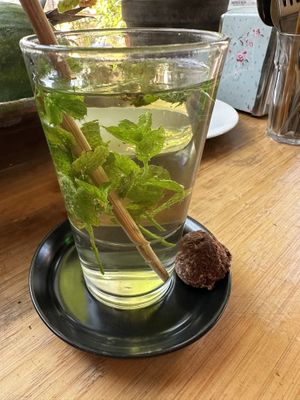   at Alchemist Garden in Amsterdam