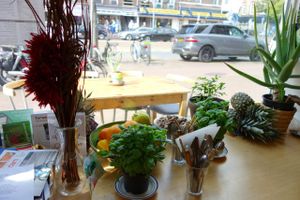 Alchemist Garden at Alchemist Garden in Amsterdam