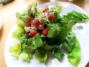 Green Salad at Alchemist Garden in Amsterdam