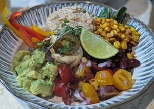 Vegan Burrito Bowl with vegan Spur cream at CAFE KIN in Nelson Bay