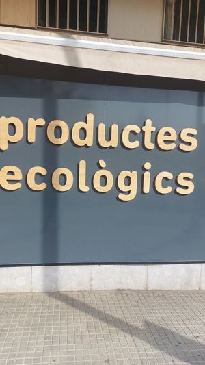  at Sa Teulera in Mallorca