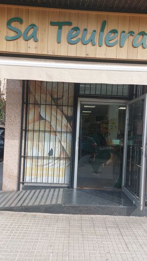  at Sa Teulera in Mallorca