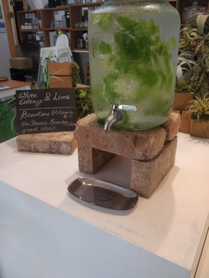 Complimentary veggie water at And Life in Toyama