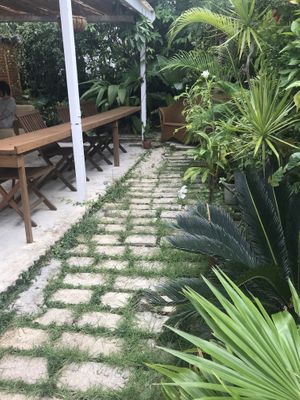 Bar seating and also tables.  at Earthful Cafe in Kitanakagusuku