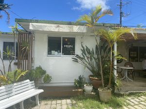   at Earthful Cafe in Kitanakagusuku