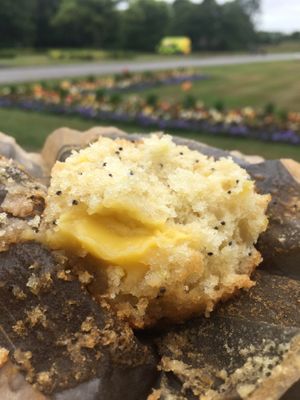 Lemon and poppy seed muffin! 😋  at Atu in Wigan