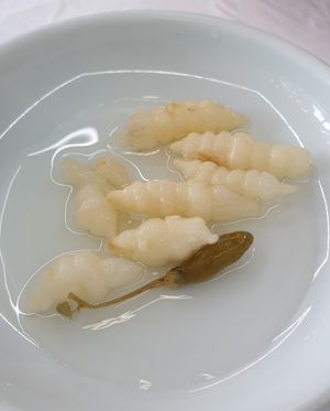  at Shintoburi in Songnisandong