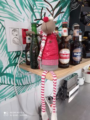 Cervezas at Organic in Huelva