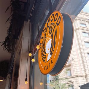   at Wynwood in Barcelona