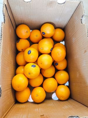 Whole oranges at V'Fresh Your Daily Vitamins in Central Singapore