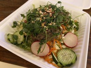 Soba Noodle Salad - they forgot my dressing so it wasn't great at Great Full Gardens in Sparks
