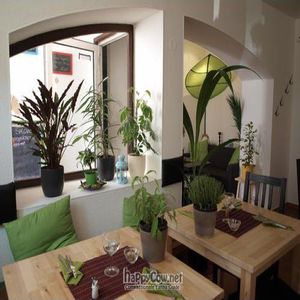 interior at Lucky Leek in Berlin