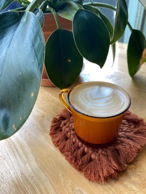 Cortardo at The Monocle Cafe in Macclesfield