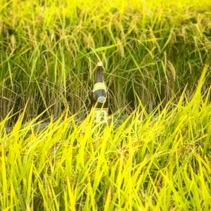 極楽は米から出来てます at Gokuraku Shochu in Yunomae