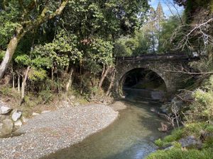 Nearby at Gokuraku Shochu in Yunomae