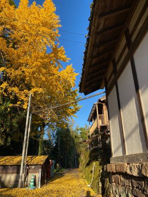 Scenery only at this time at Gokuraku Shochu in Yunomae