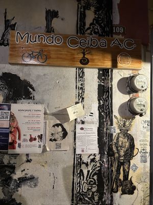   at Mundo Ceiba in Oaxaca