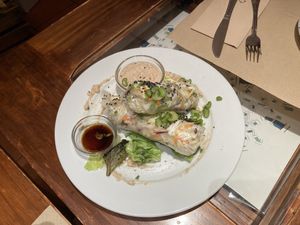 Vietnamese rolls  at Paprika in Granada