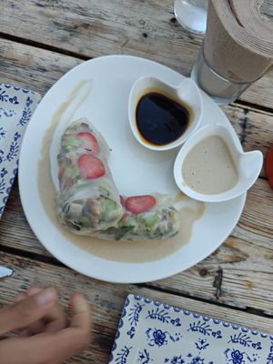 Vietnamese rolls at Paprika in Granada