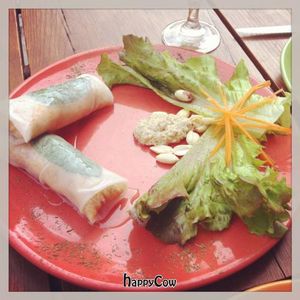 Delicious quinoa spring rolls at Paprika in Granada